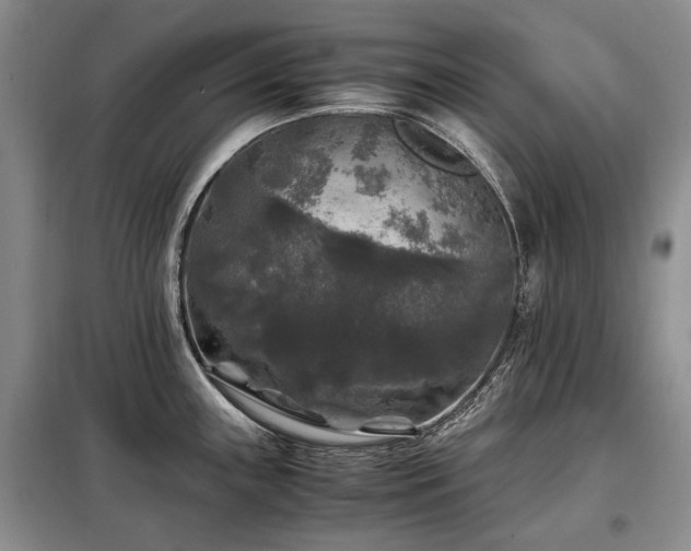 X0000099291243200805021224