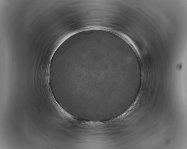 X0000099291244200805021224