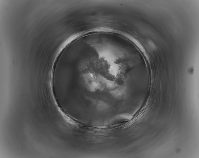 X0000099291245200805021224