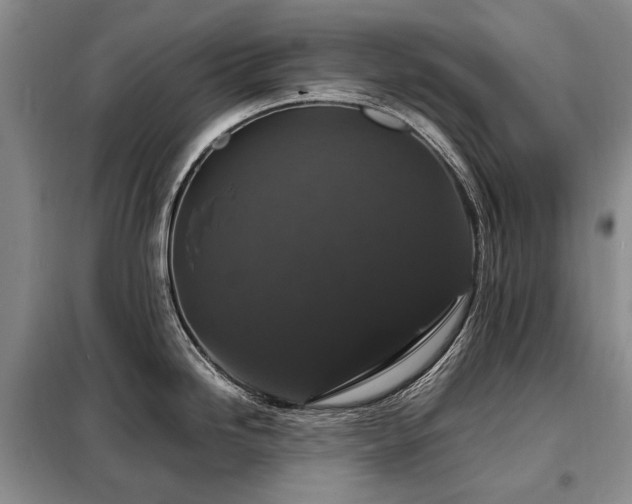 X0000099291246200805021224
