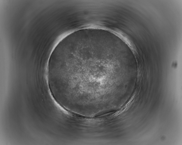 X0000099291247200805021224
