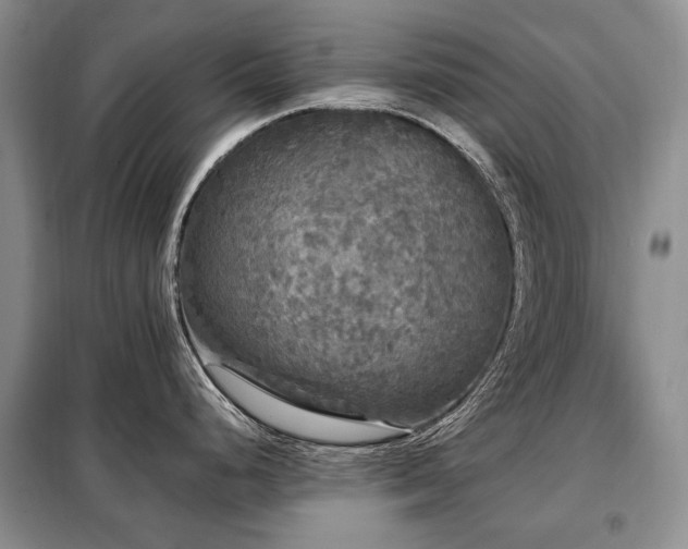 X0000099291248200805021224