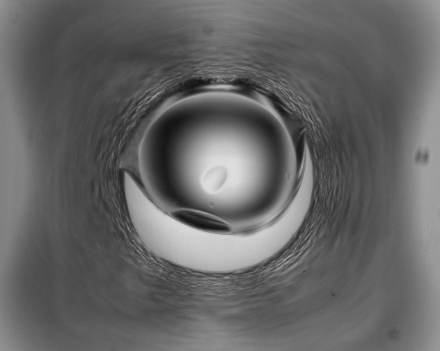 X0000099291249200805021223