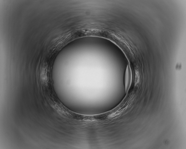 X0000099291250200805021223
