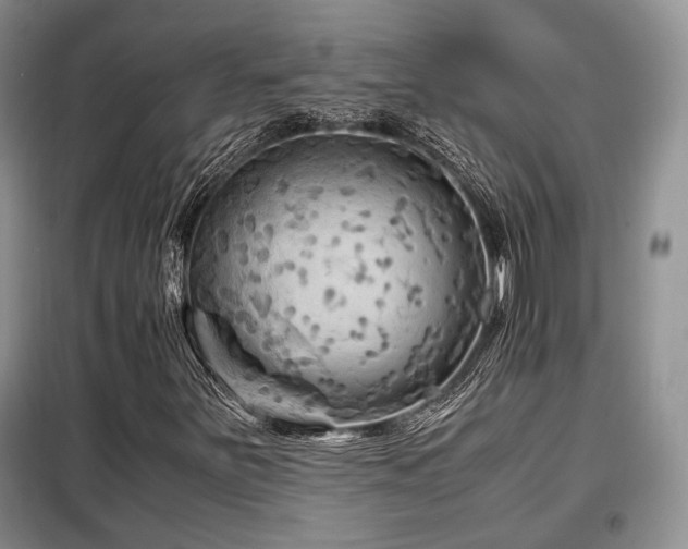 X0000099291251200805021223