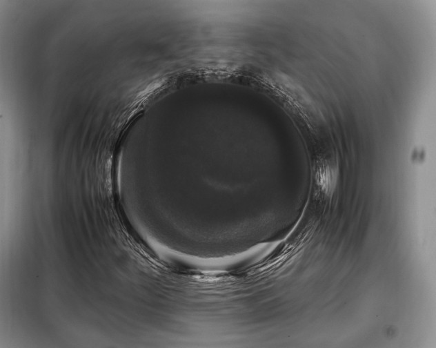 X0000099291252200805021223