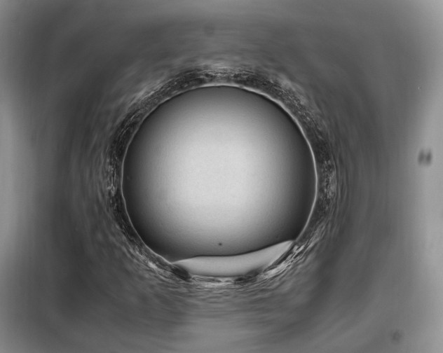 X0000099291253200805021223