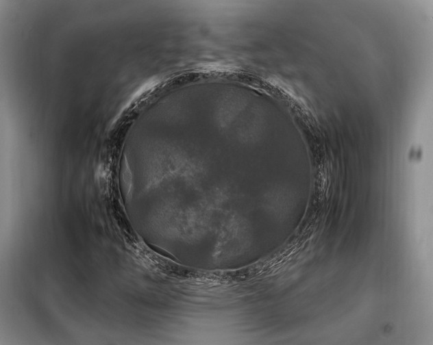 X0000099291254200805021223