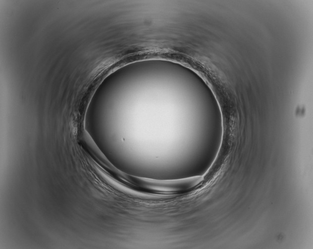 X0000099291257200805021223