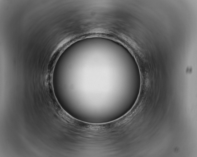 X0000099291258200805021223