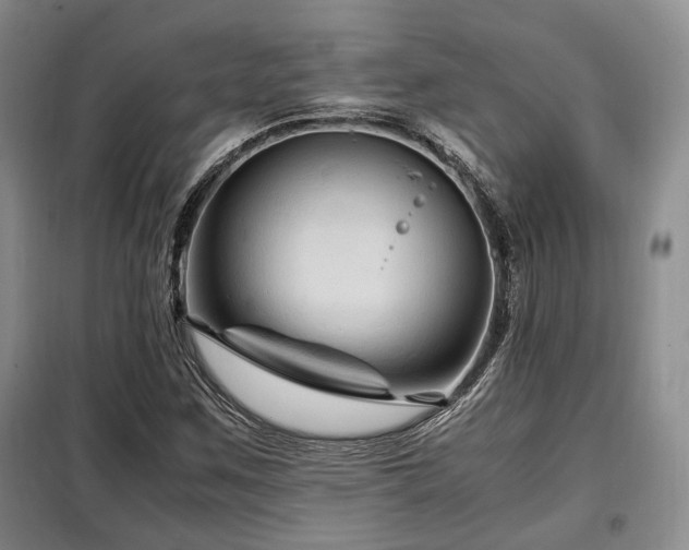 X0000099291259200805021223