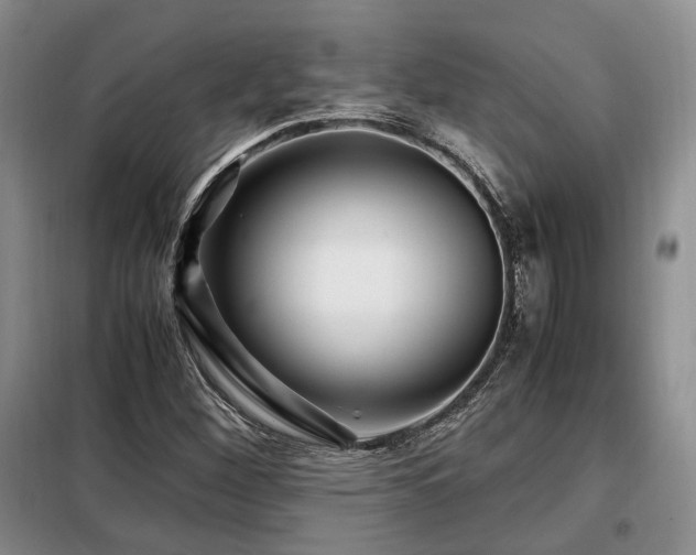 X0000099291260200805021223