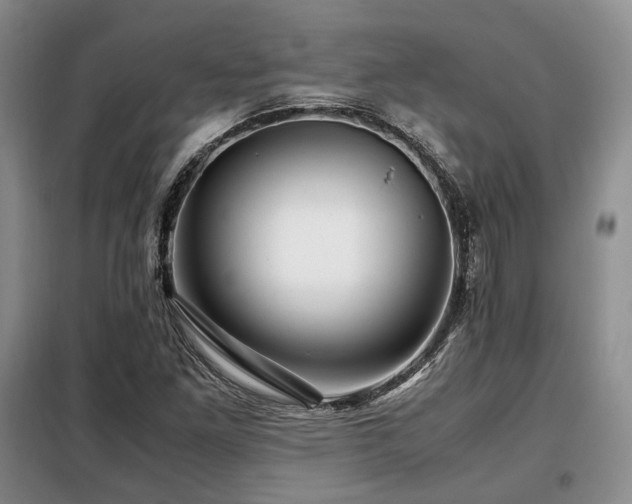 X0000099291261200805021223