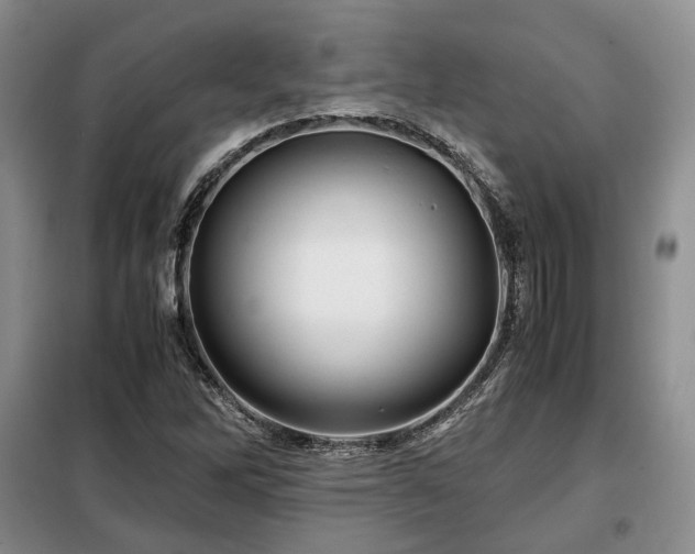 X0000099291262200805021223