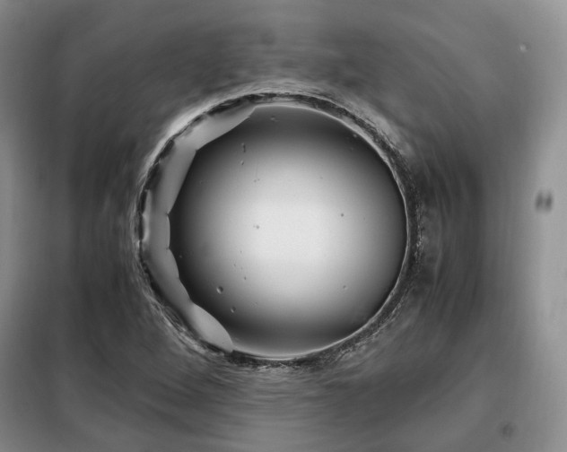 X0000099291264200805021223