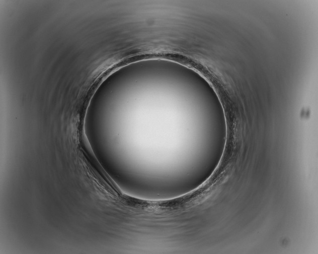 X0000099291265200805021223