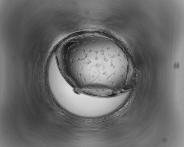 X0000099291267200805021223
