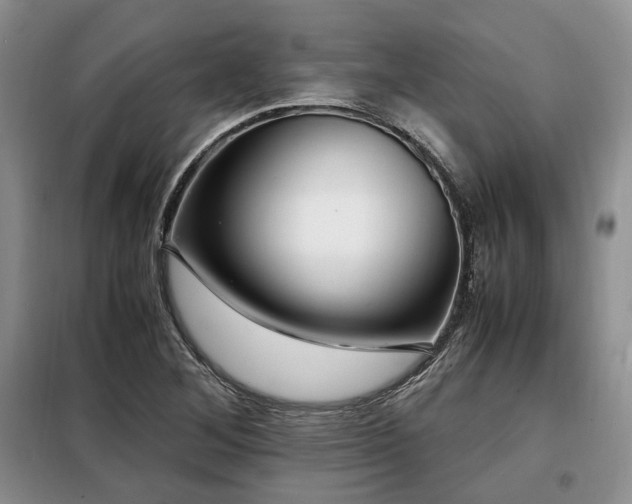 X0000099291268200805021223