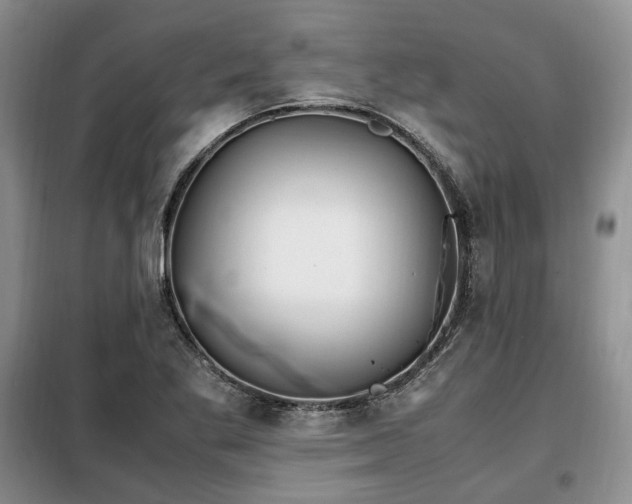 X0000099291269200805021223