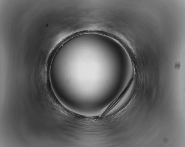 X0000099291270200805021223