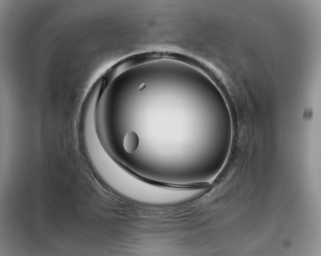 X0000099291271200805021223