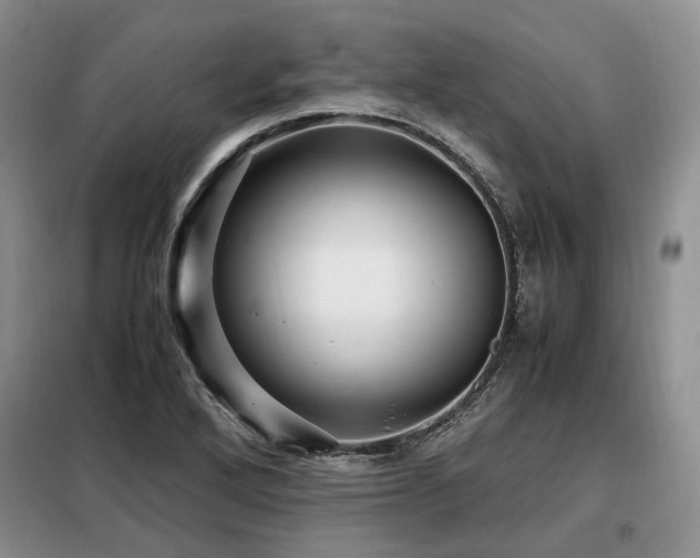X0000099291272200805021223