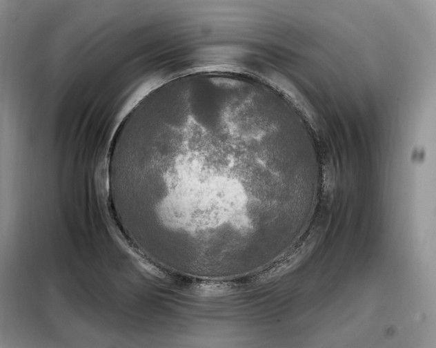X0000099291274200805021223