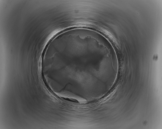 X0000099291275200805021223