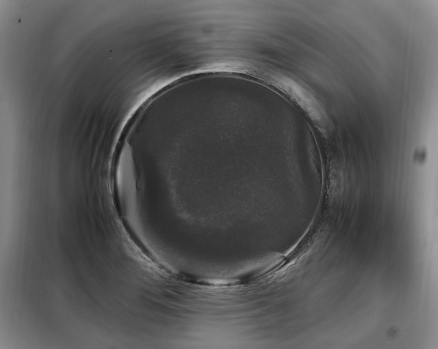 X0000099291276200805021223