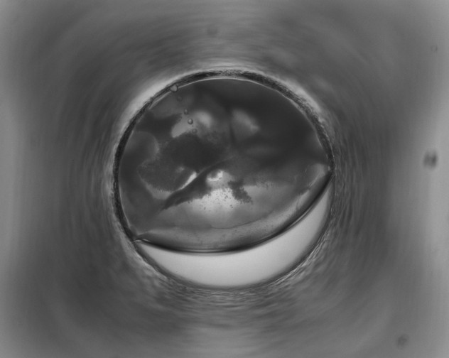 X0000099291279200805021223