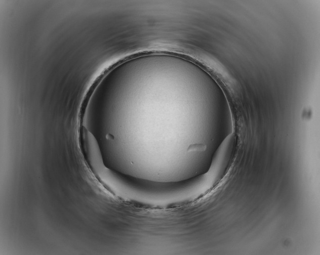 X0000099291280200805021223