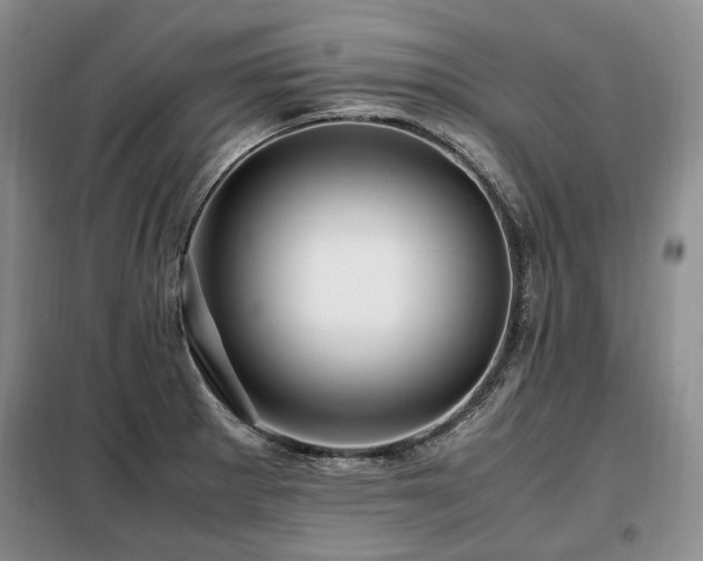 X0000099291281200805021223