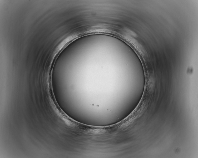 X0000099291282200805021223