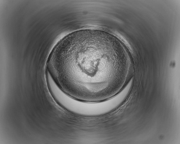 X0000099291283200805021223
