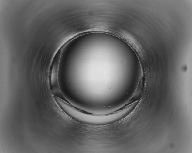 X0000099291284200805021223
