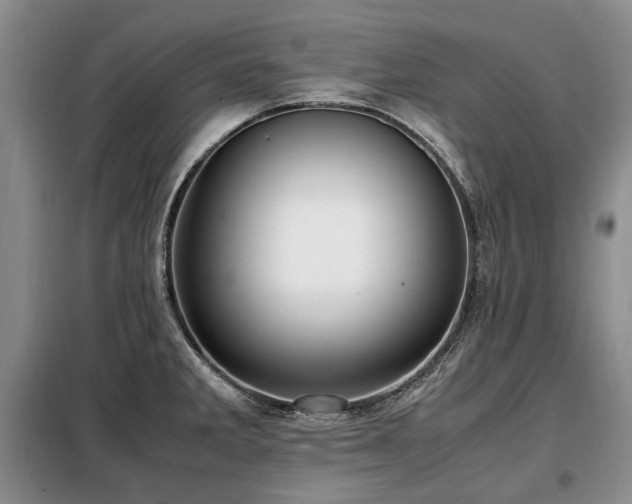 X0000099291285200805021223
