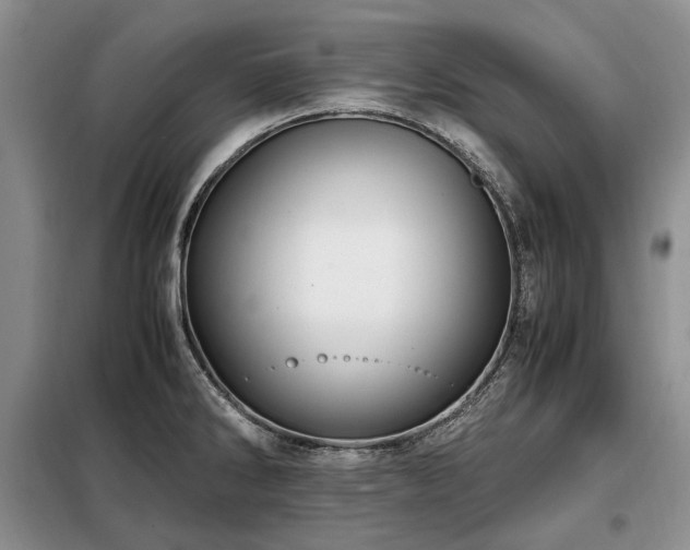 X0000099291286200805021223