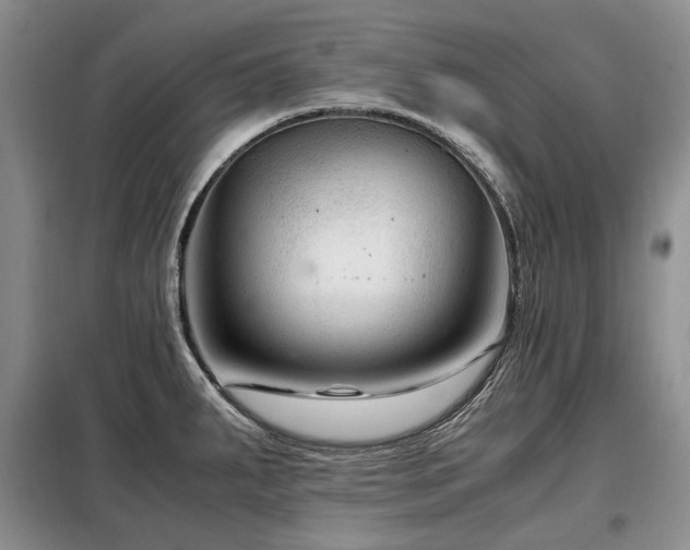 X0000099291287200805021223