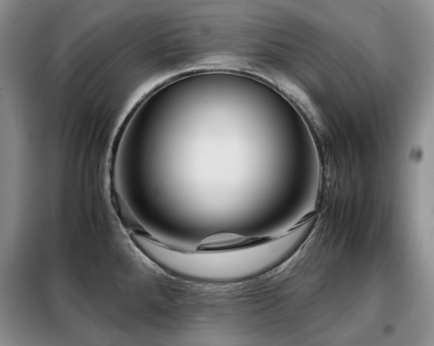 X0000099291288200805021223