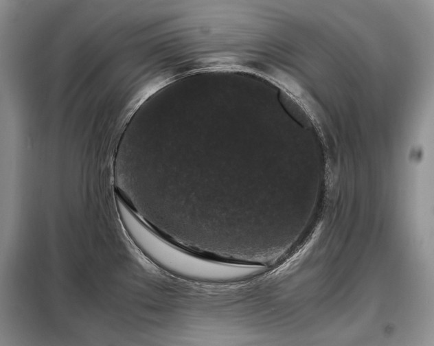 X0000099291289200805021223