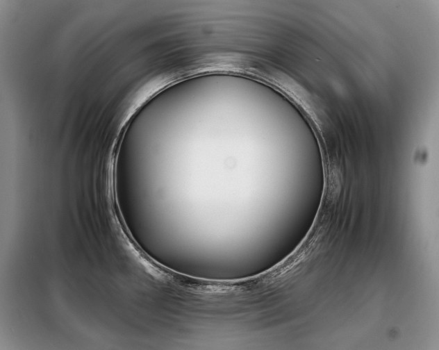 X0000099291290200805021223