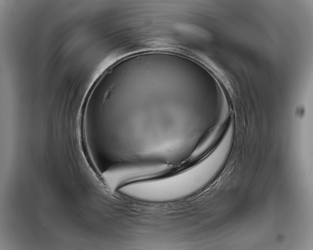 X0000099291291200805021223