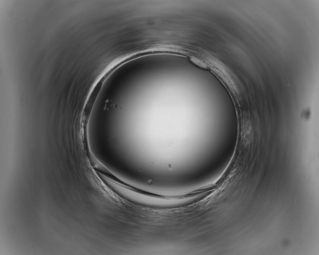 X0000099291292200805021223