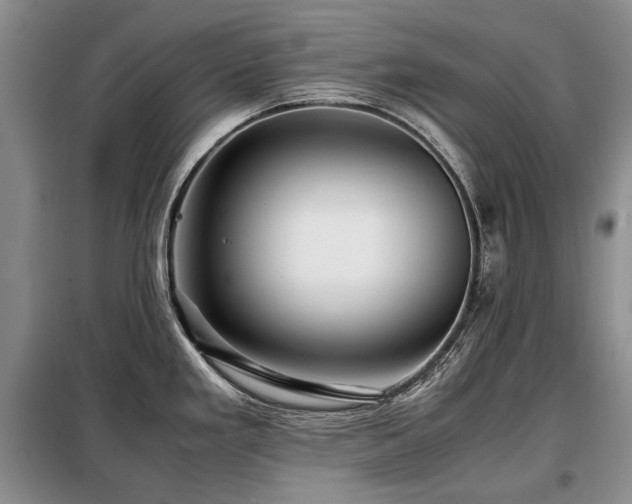 X0000099291293200805021223
