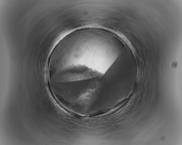 X0000099291295200805021223