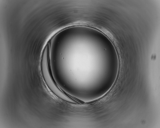 X0000099291296200805021223