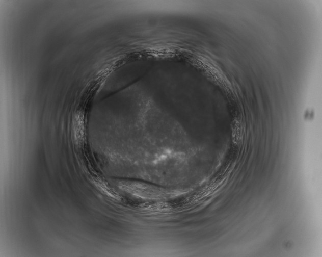 X0000099291298200805021222