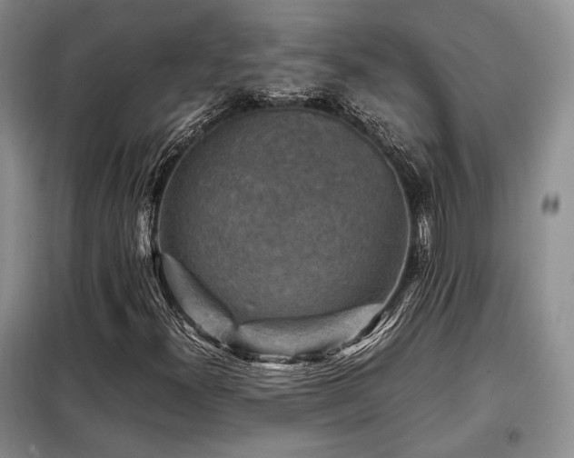X0000099291300200805021222