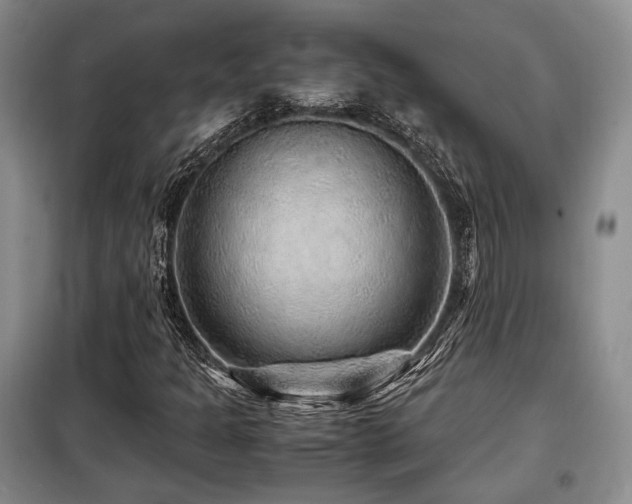 X0000099291301200805021222