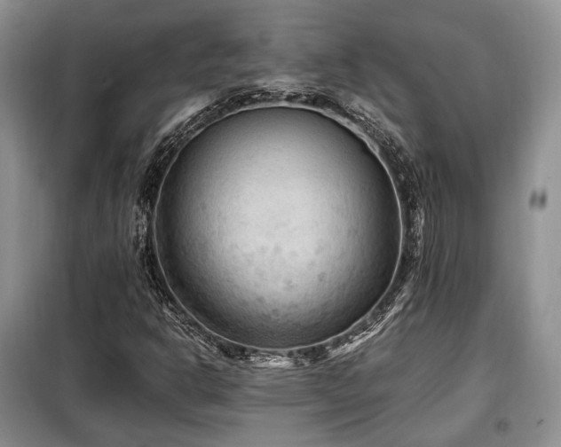 X0000099291302200805021222